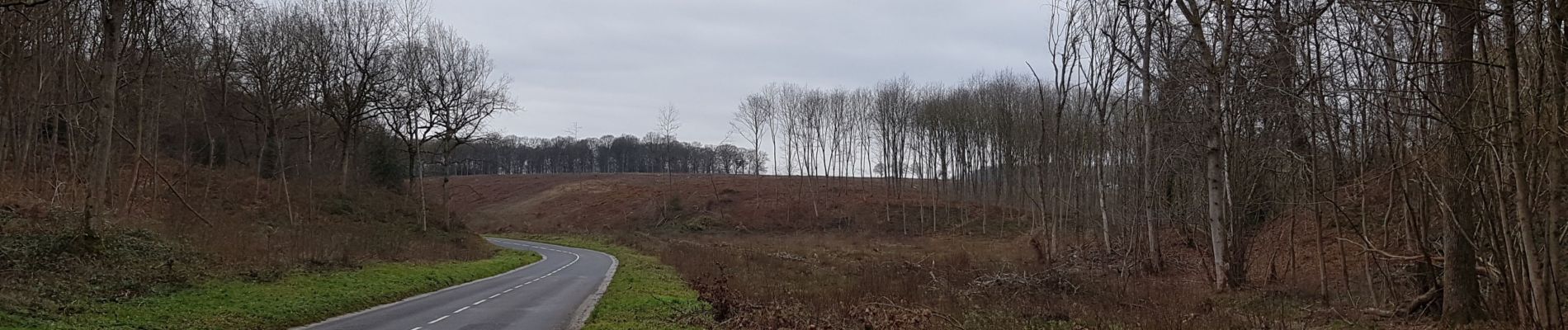 Randonnée Marche Saint-Aubin-Épinay - 20190115-Epinay - Photo