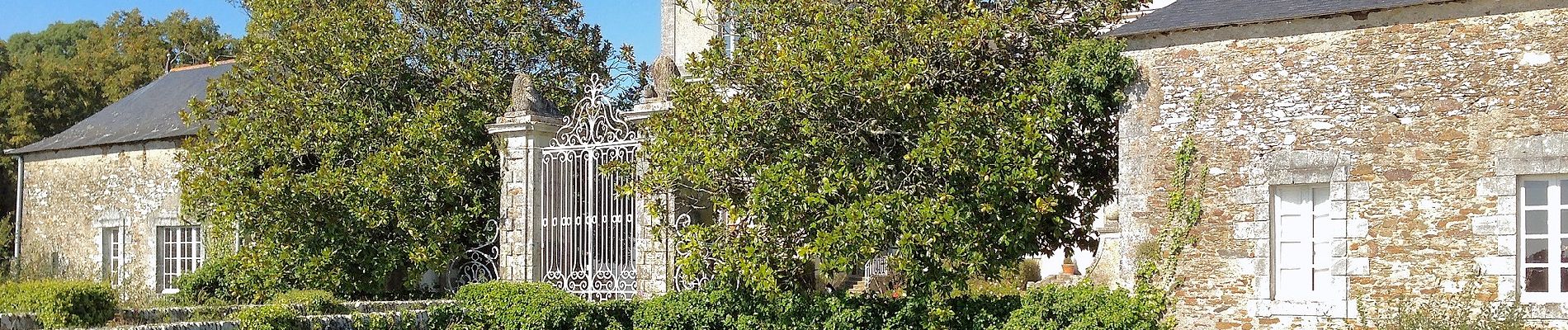 Excursión A pie Divatte-sur-Loire - La Haute Chapelle (variante) - Photo