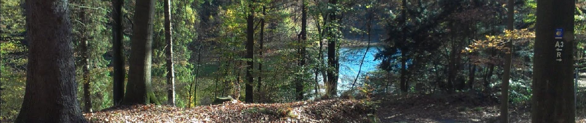 Percorso A piedi Sconosciuto - Im Alten Berge Rundweg A3 - Photo