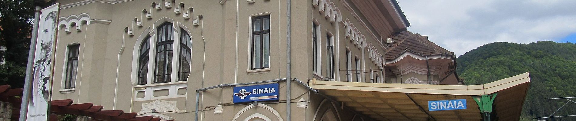 Tour Zu Fuß Sinaia - Sinaia - Vf. Piscul Câinelui - Photo