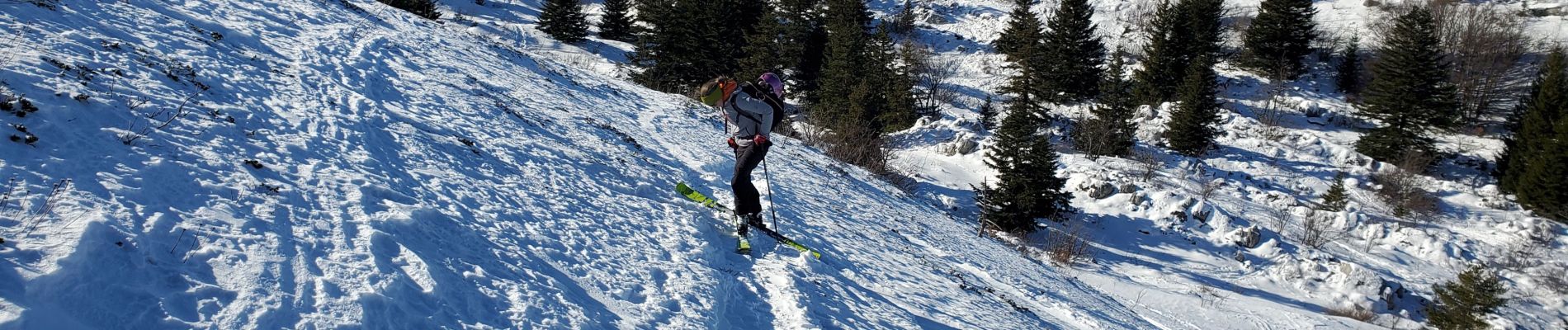 Randonnée Ski de randonnée Lans-en-Vercors - Lans en Vercors par combe oursiere  - Photo