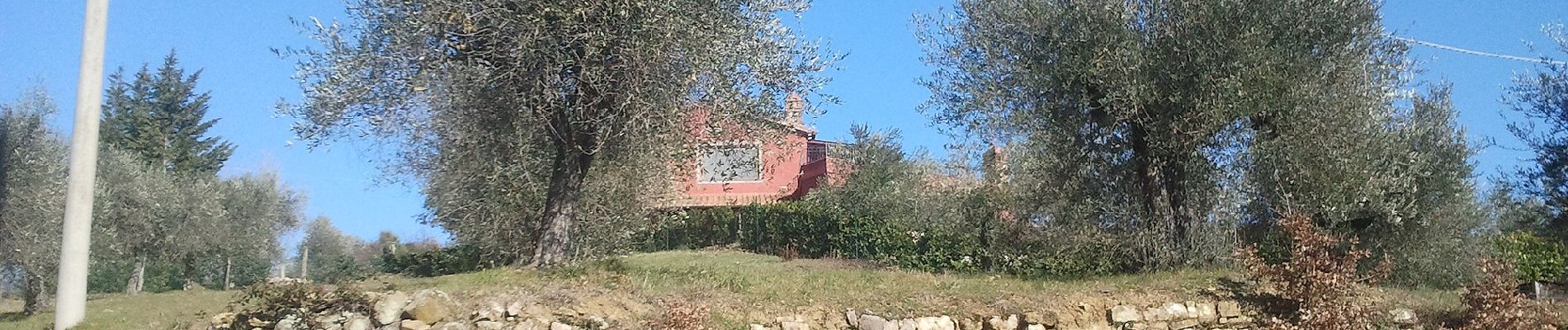 Randonnée A pied Passignano sul Trasimeno - Castel Rigone - Torre Fiume - Photo