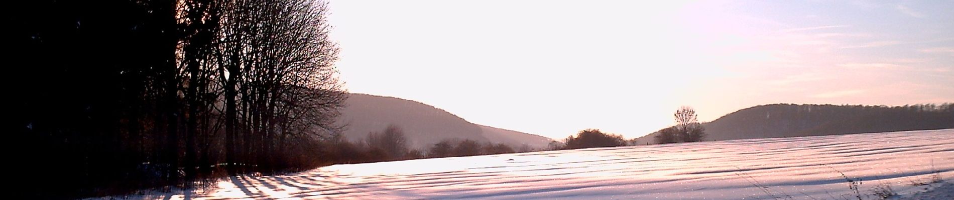 Tocht Te voet Altenbeken - Bahn und Quellen Rundwanderweg - Photo