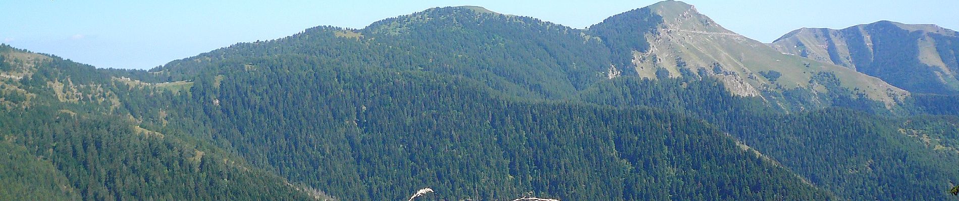 Randonnée A pied Moulinet - Cime du Diable - Photo