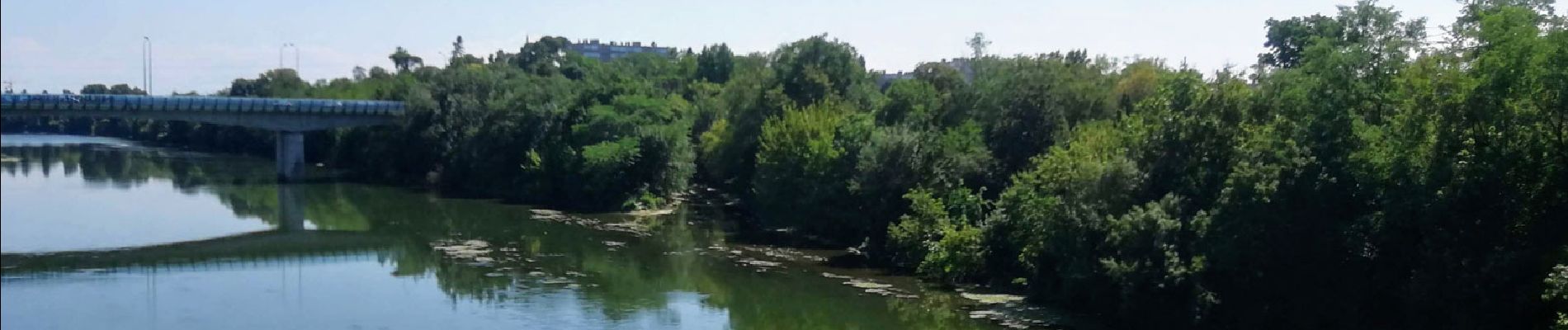 Tocht Stappen Toulouse - TT19 - Lalande - Ancely - Photo