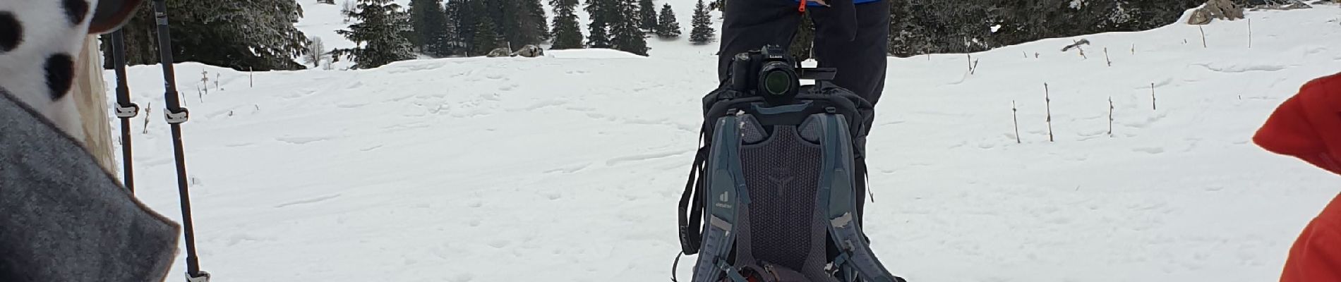 Tocht Sneeuwschoenen Divonne-les-Bains - La Vatay Suisse - Photo