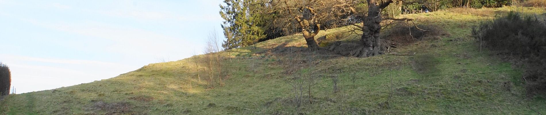 Tour Zu Fuß Wyre Forest - Ribbesford Circular Trail - Photo