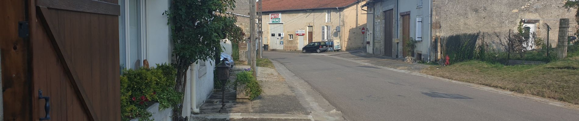 Tocht Auto Les Hauts-de-Chée - Colombey les 2 églises et le lac du Der depuis Les Hauts de Chée - Photo