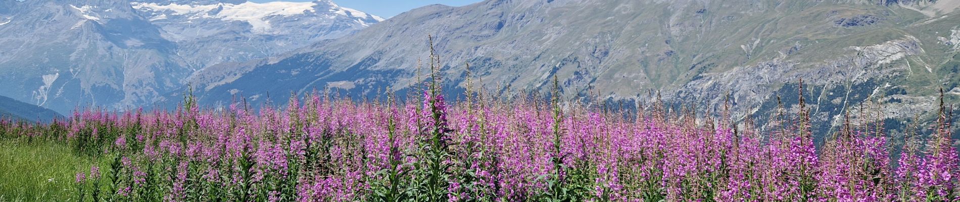 Randonnée Marche Val-Cenis - Savoie_Val-Cenis_Lac de l'Arcelle - Photo