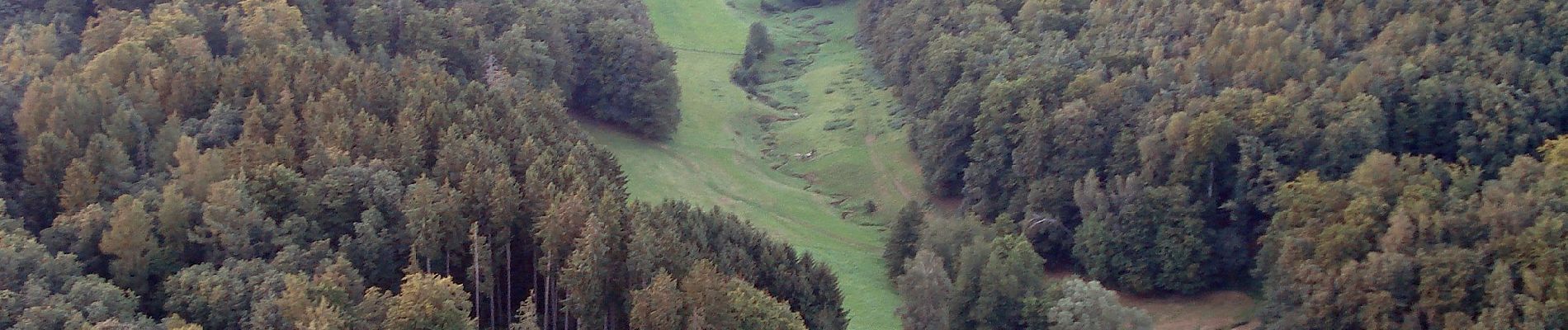 Tour Zu Fuß Brombachtal - Rundwanderweg Brombachtal Böllsteiner Höhe 3: Wallbrunner-Weg - Photo