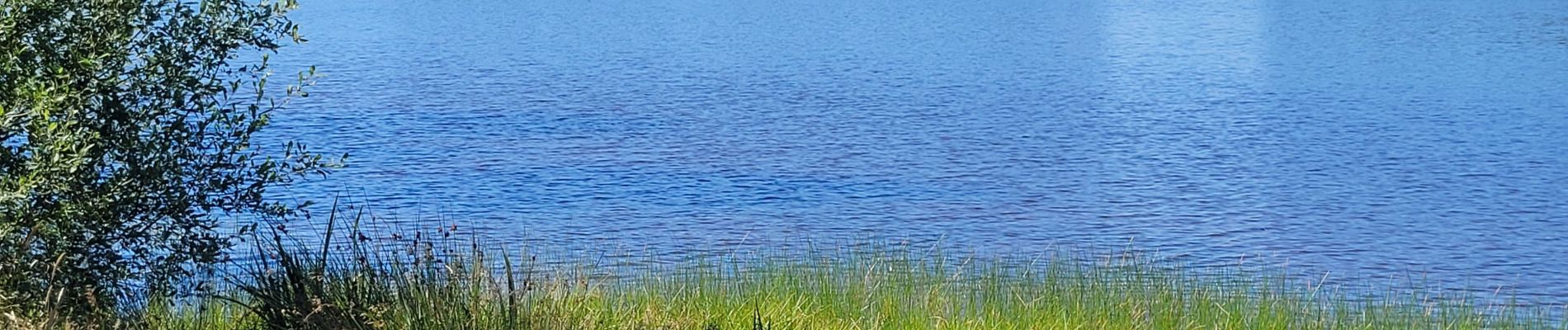 Randonnée Vélo électrique Le Puy-en-Velay - Le puy en Velay \ Lac de Malaguet  - Photo