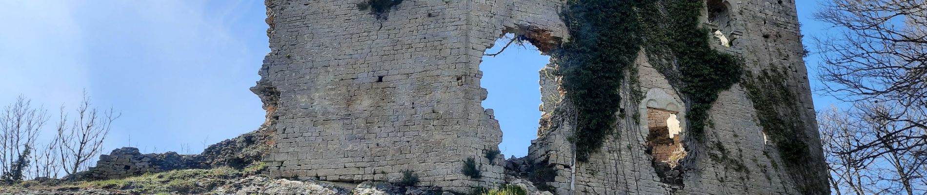 Randonnée Marche Publy - Le château Beauregard  - Le château de Binan - Photo