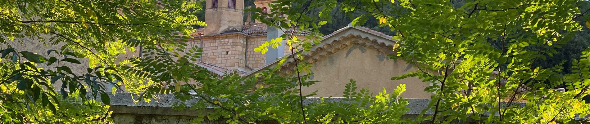 Tour Wandern Méounes-lès-Montrieux - Chartreuse  - Photo