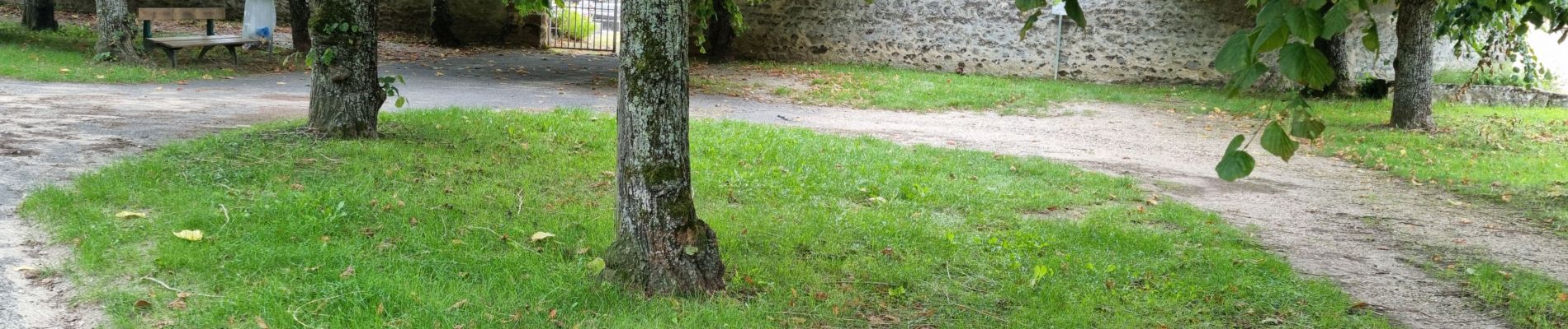 Tocht Stappen Auvers-Saint-Georges - Auvers-Saint-Georges - Photo