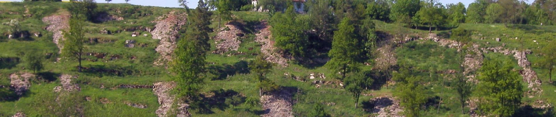 Tocht Te voet Aub - Liebliches Taubertal 26 Zur St. Kunigunde - Photo