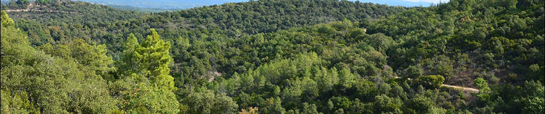 Randonnée Marche Saint-Paul-en-Forêt - Saint Paul en Forêt - Lac de Méaulx - Photo