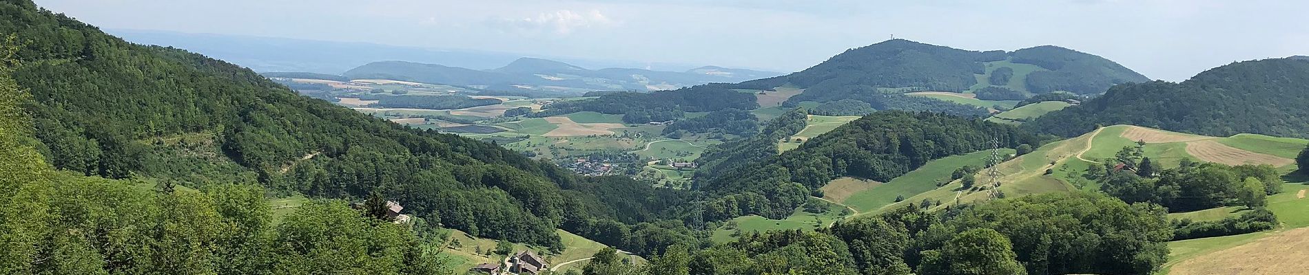 Percorso A piedi Erlinsbach (AG) - Salhöhe - Obererlinsbach - Photo