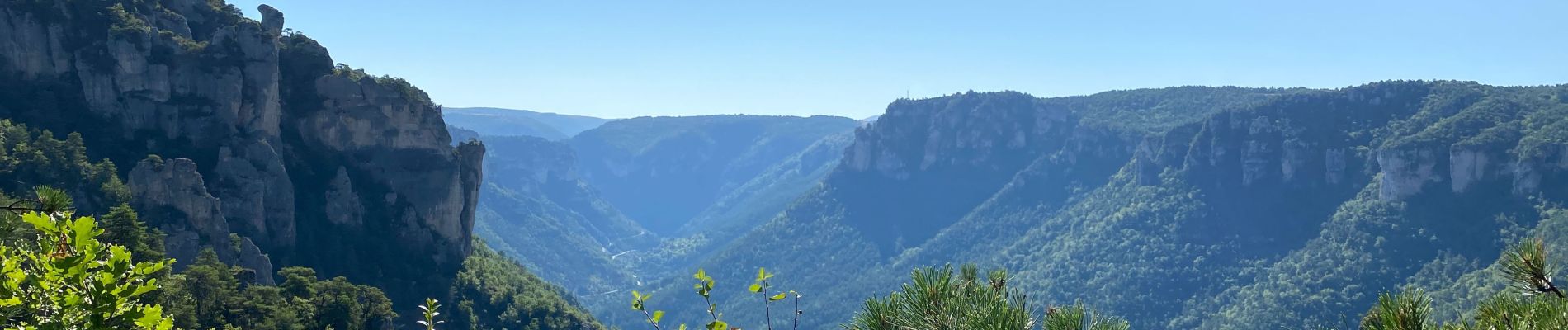 Tour Wandern Saint-Pierre-des-Tripiers - Cassagnes crête vallée Jonte et Tarn 12,2 km - Photo