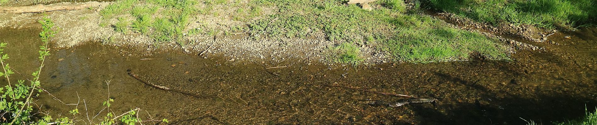 Percorso A piedi Hausmannstätten - Rundwanderweg 12 - Photo