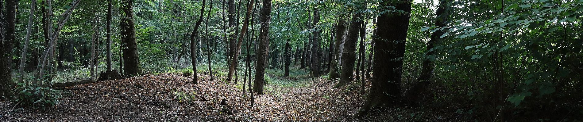 Tocht Te voet Lebring-Sankt Margarethen - Hengist Kulturwanderweg Teufelsgrabenrunde - Photo