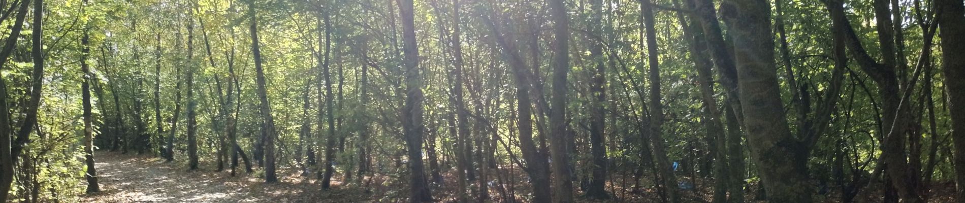 Tocht Stappen Plouvain - Plouvain le Lac Bleu le marais de Biache Saint Waast - Photo