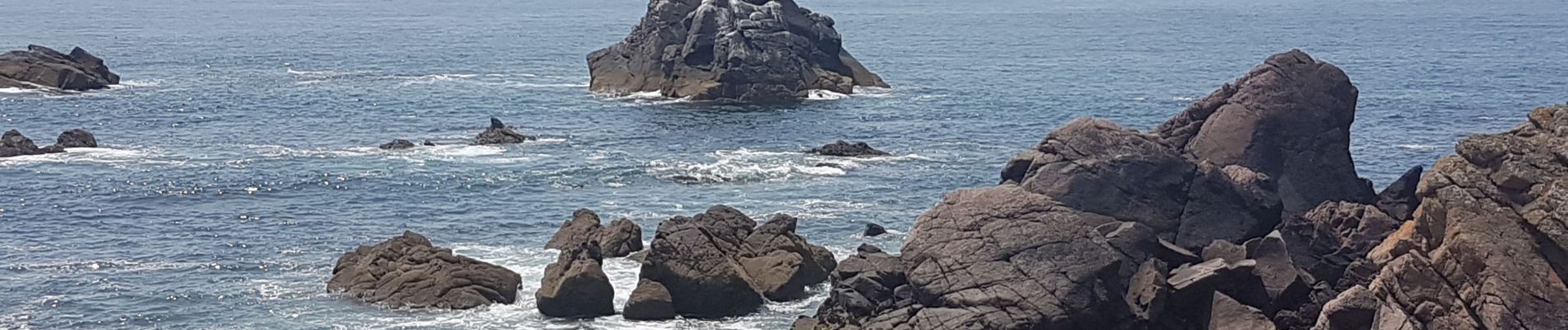 Randonnée Marche L'Île-d'Yeu - ile d'Yeu est - Photo