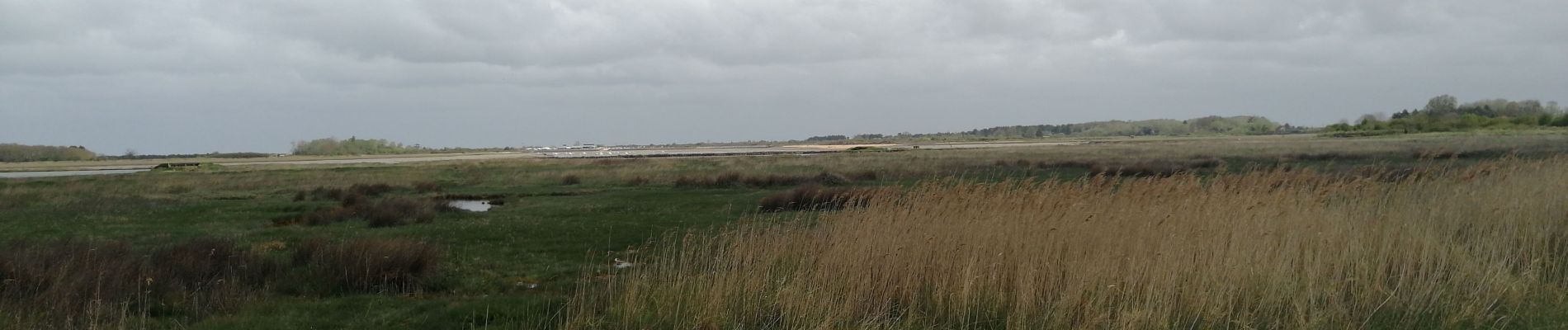 Randonnée V.T.T. Caen - Caen baie sannelles boucle.  - Photo