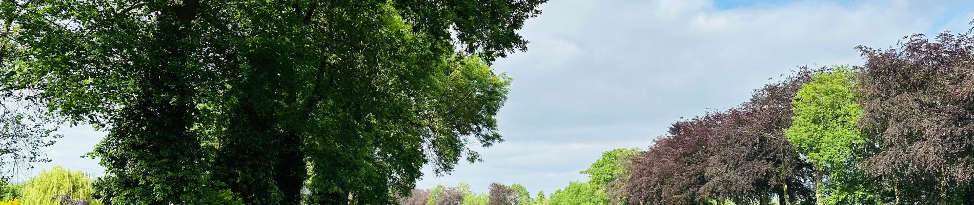 Randonnée Marche Lanaken - La réserve naturelle Oud Weerd à Oud-Rekem - Photo