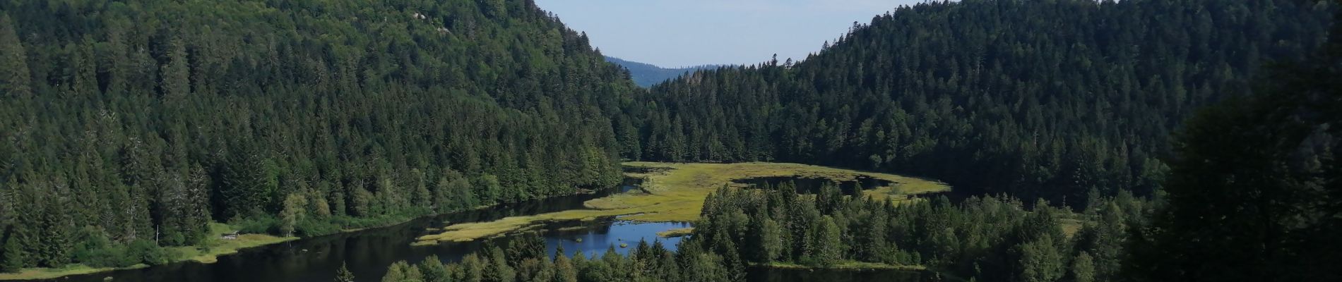 Trail Walking La Bresse - Lac de Lispach longemer feigne - Photo