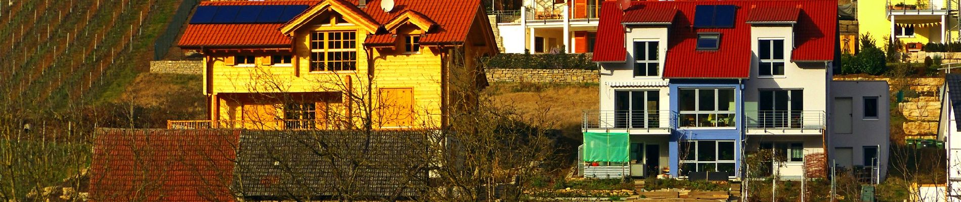 Percorso A piedi Hessigheim - Felsengarten - Photo