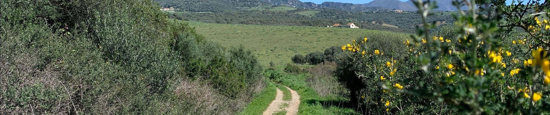 Excursión Senderismo Casares - Cassâtes - Photo