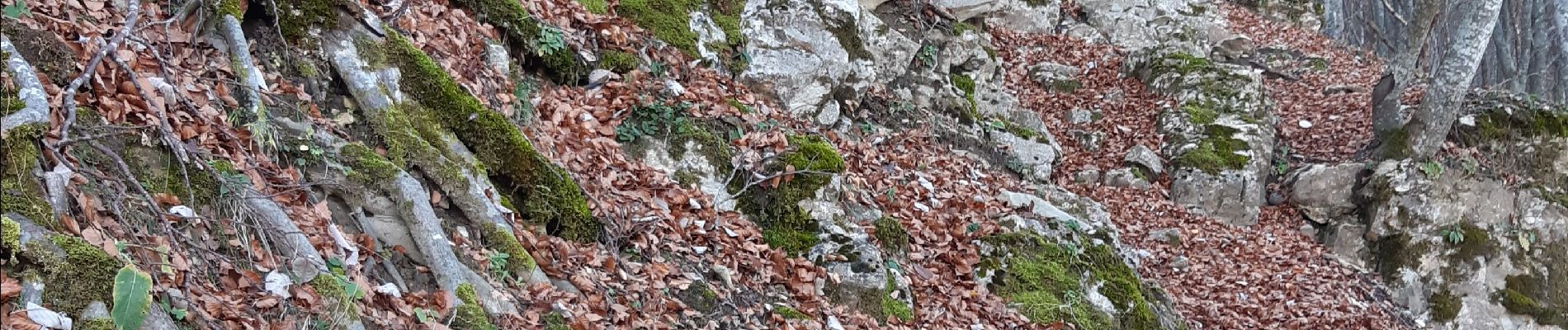 Tocht Stappen Bouvières - mielandre par le pin - Photo