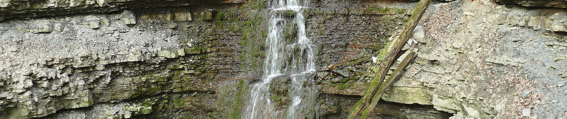 Excursión A pie Wolpertshausen - Spuren der Vergangenheit - Photo