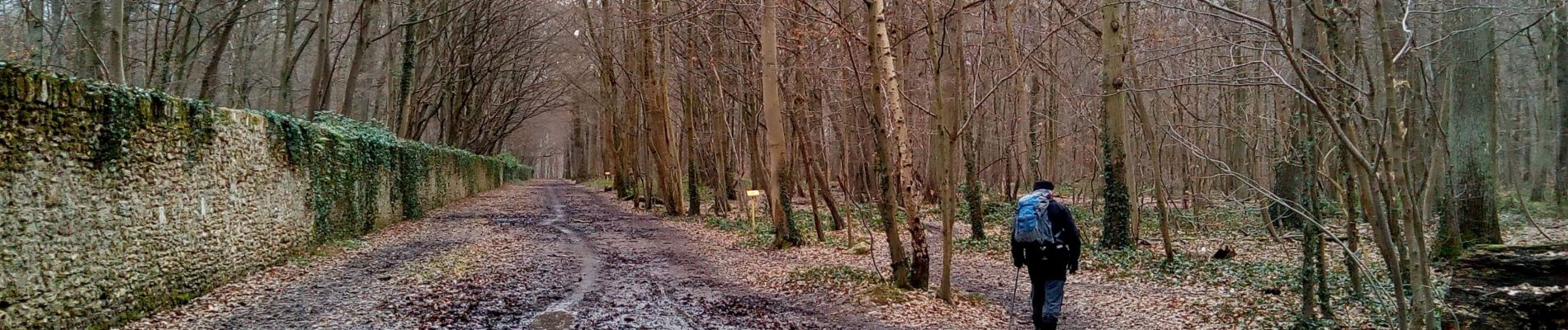 Excursión Senderismo Clamart - Meudon la forêt - Photo