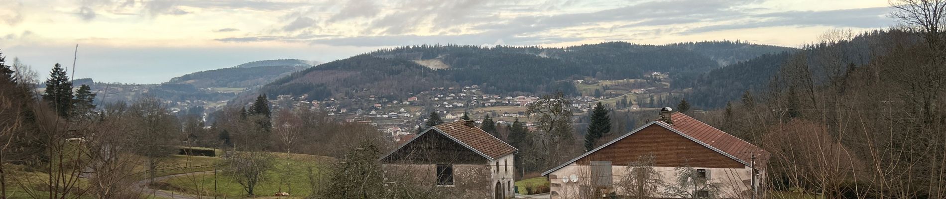 Tour Wandern Le Tholy - Sentier de la Roche Au Blaireau depuis le gîte  - Photo