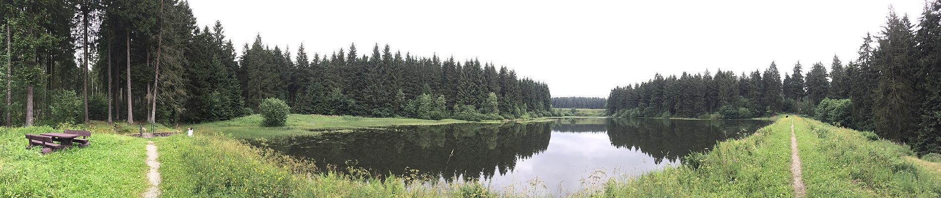 Excursión A pie Clausthal-Zellerfeld - Prinzen / Flambacher Teiche - Photo