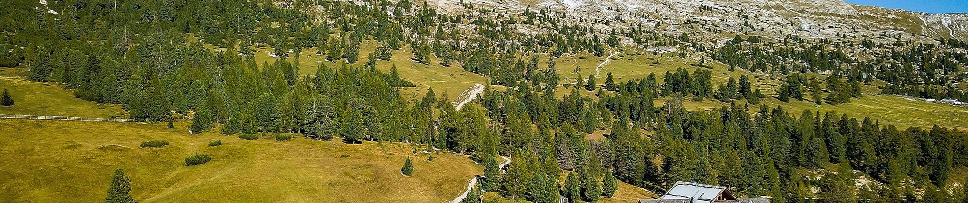 Trail On foot Prags - Braies - IT-40 - Photo