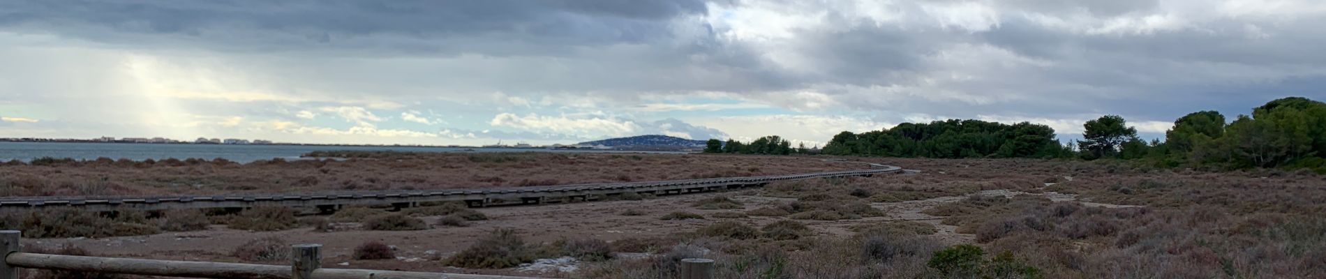 Tocht Stappen Frontignan - Les Aresquiers par le bois - Photo