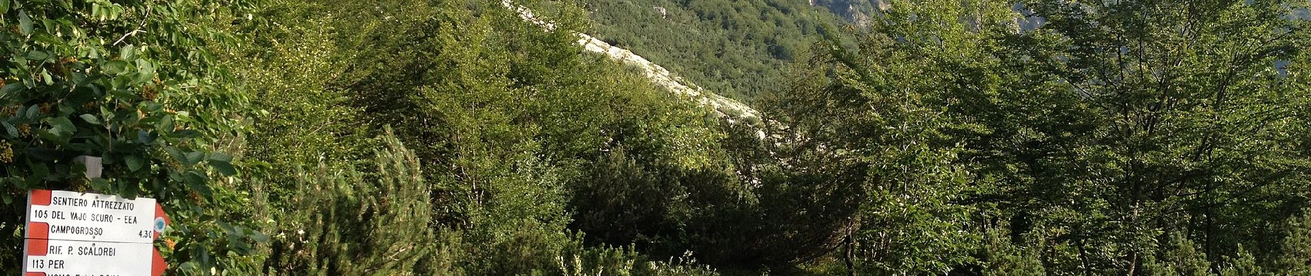 Excursión A pie Recoaro Terme - 120, dei Grandi Alberi - Photo