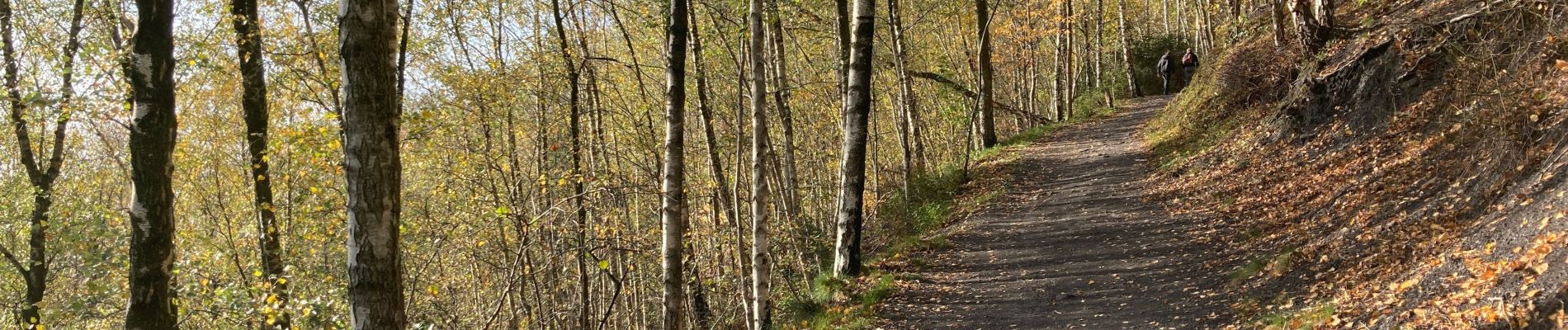 Randonnée Marche La Louvière - Saint-Vaast / Terrils / 2020-11-03 / 15 km - Photo