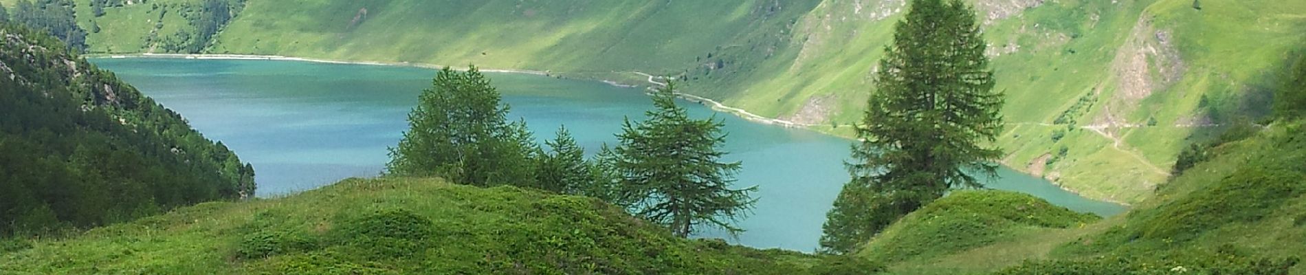 Tour Zu Fuß Blenio - Passo Sole-Capanna Cadagno - Photo