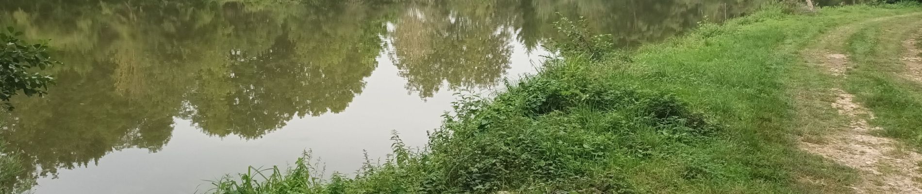 Excursión Senderismo Saint-Didier-de-Bizonnes - etang la frette - Photo