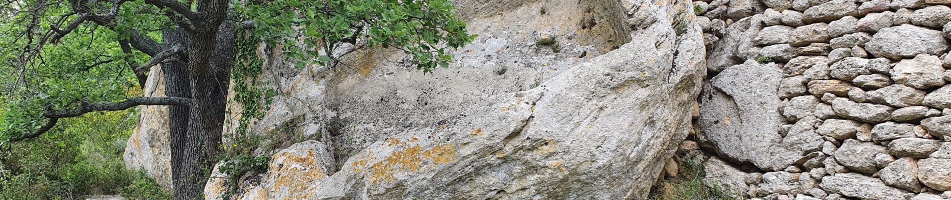 Tocht Stappen Vernègues - Vernègues 21 Mai 2021 - Photo