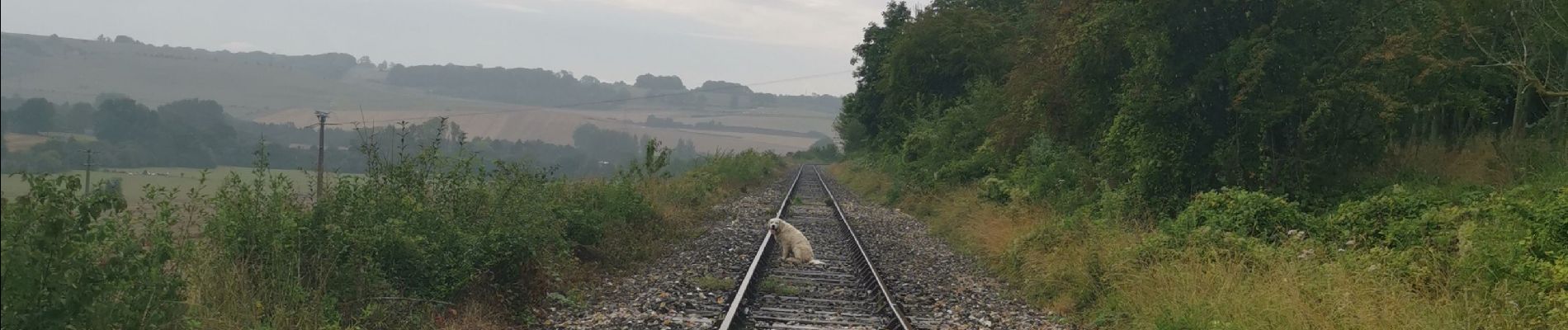 Tocht Stappen Envermeu - envermeu farival les gués de St ouen sous bailly - Photo