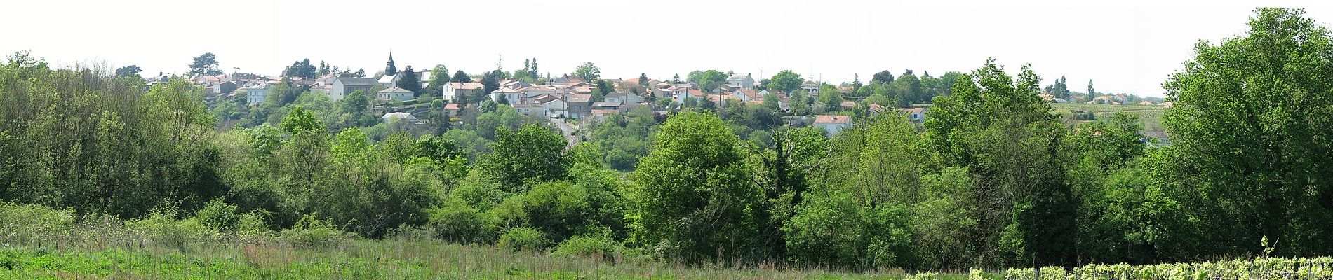 Tocht Te voet Maisdon-sur-Sèvre - Soif de Nature - Photo