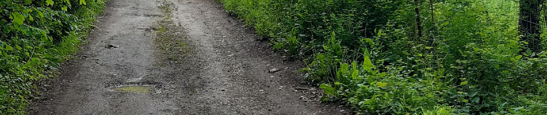 Randonnée Marche Gaillon-sur-Montcient - En passant par Dalibray - Photo