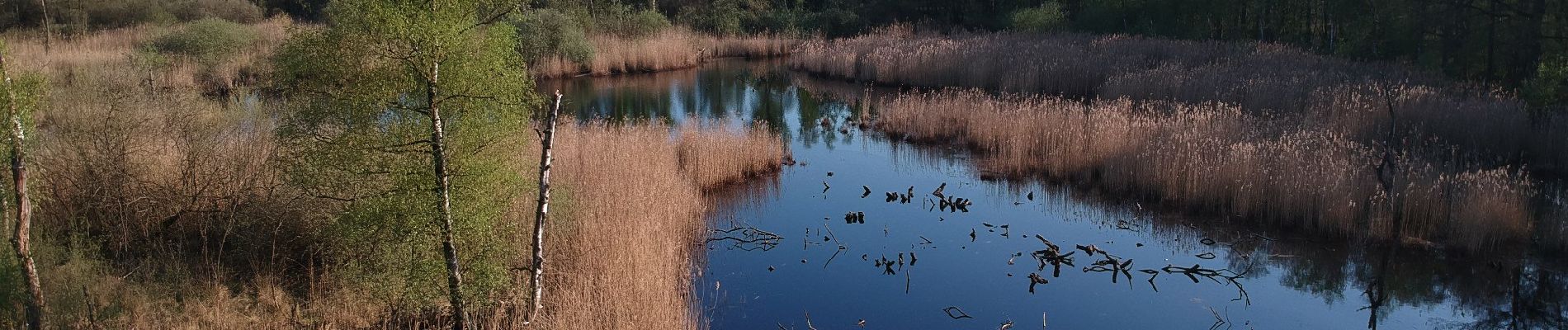 Tocht Te voet Roerdalen - Meinweg - Photo