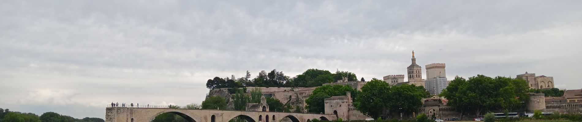 Tocht Stappen Avignon - ile de Barthelasse 1ere du top 10 des balades d Avignon... pauvres avignonais... - Photo