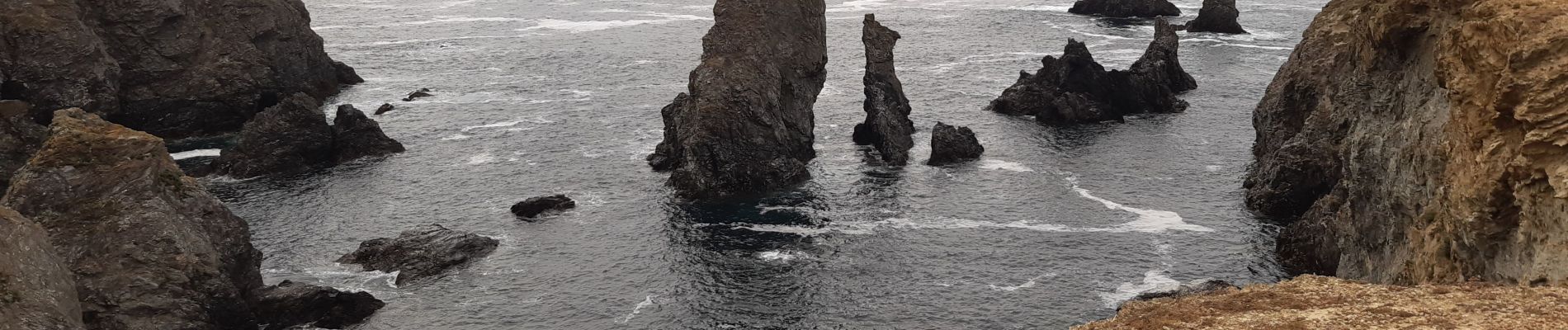 Trail Walking Sauzon - pointe des poulains - Photo