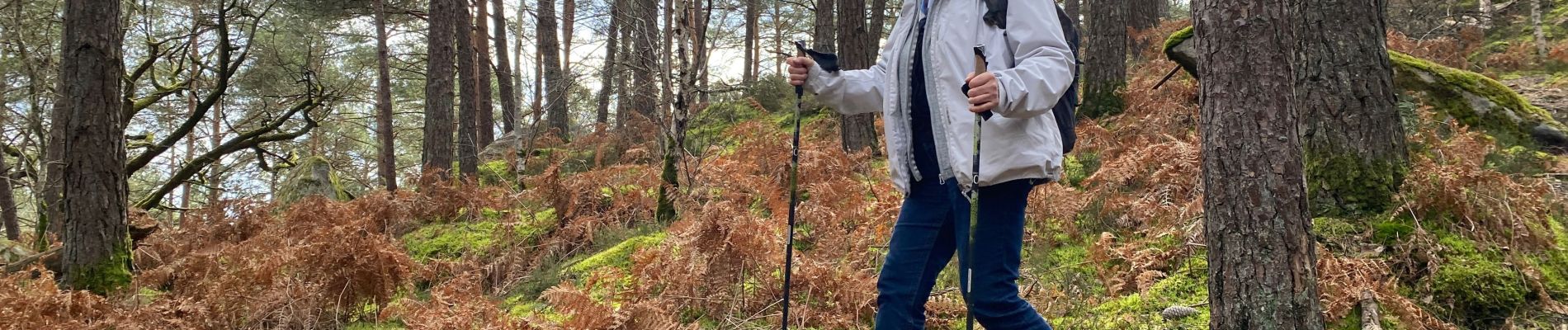 Excursión Senderismo Fontainebleau - Franchard mont aigu  - Photo